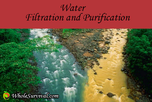 water filtration and purification
