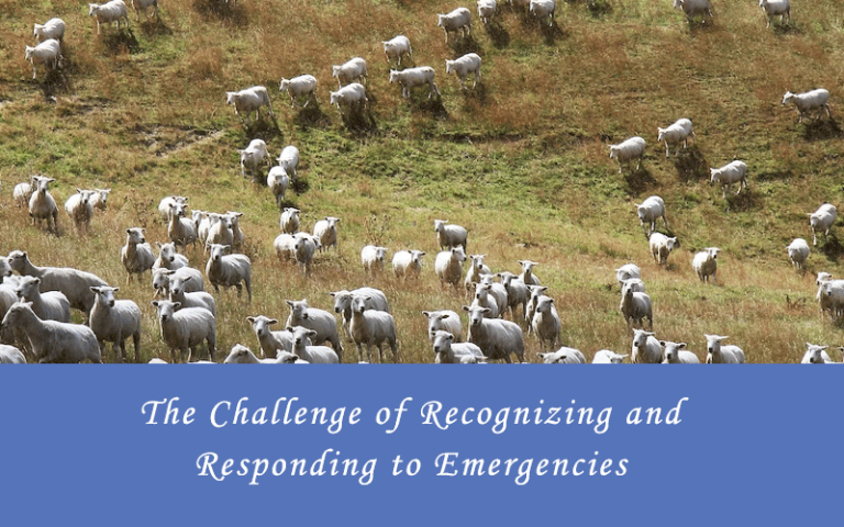The Challenge of Recognizing and Responding to Emergencies