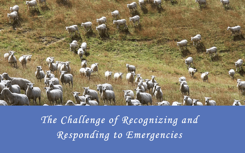 Responding-to-Emergencies