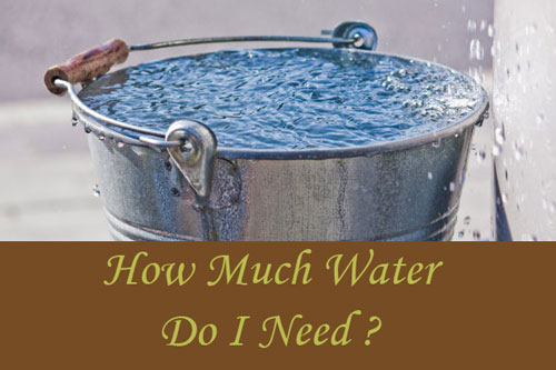 water-need-article-cover